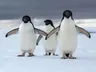 Introducción a Linux en 3 pasos: cómo empezar con Ubuntu desde Windows